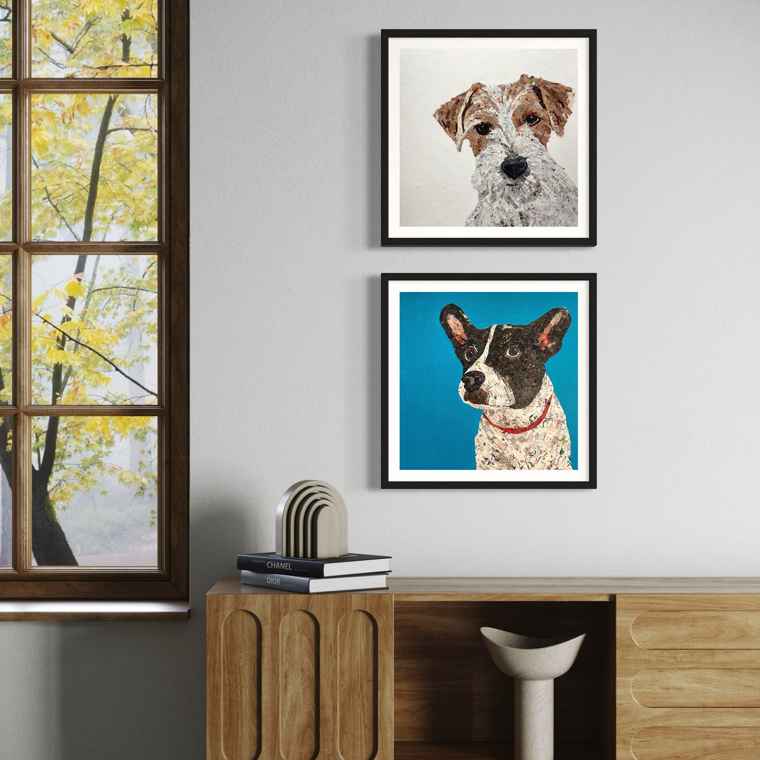 Jack Russell