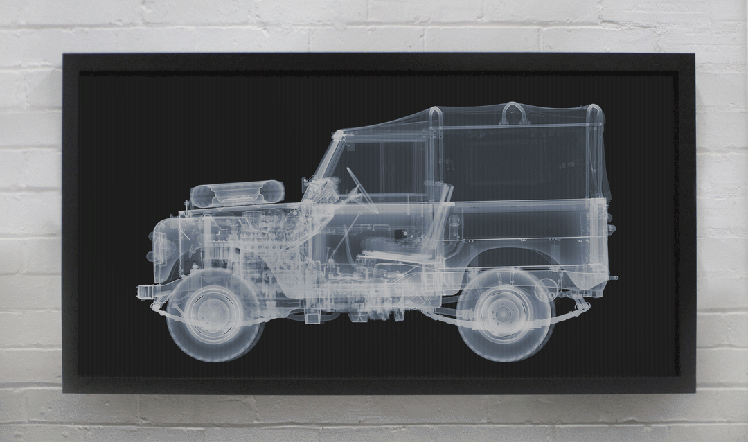 x-ray skeleton car mechanical surfboard dog on black background