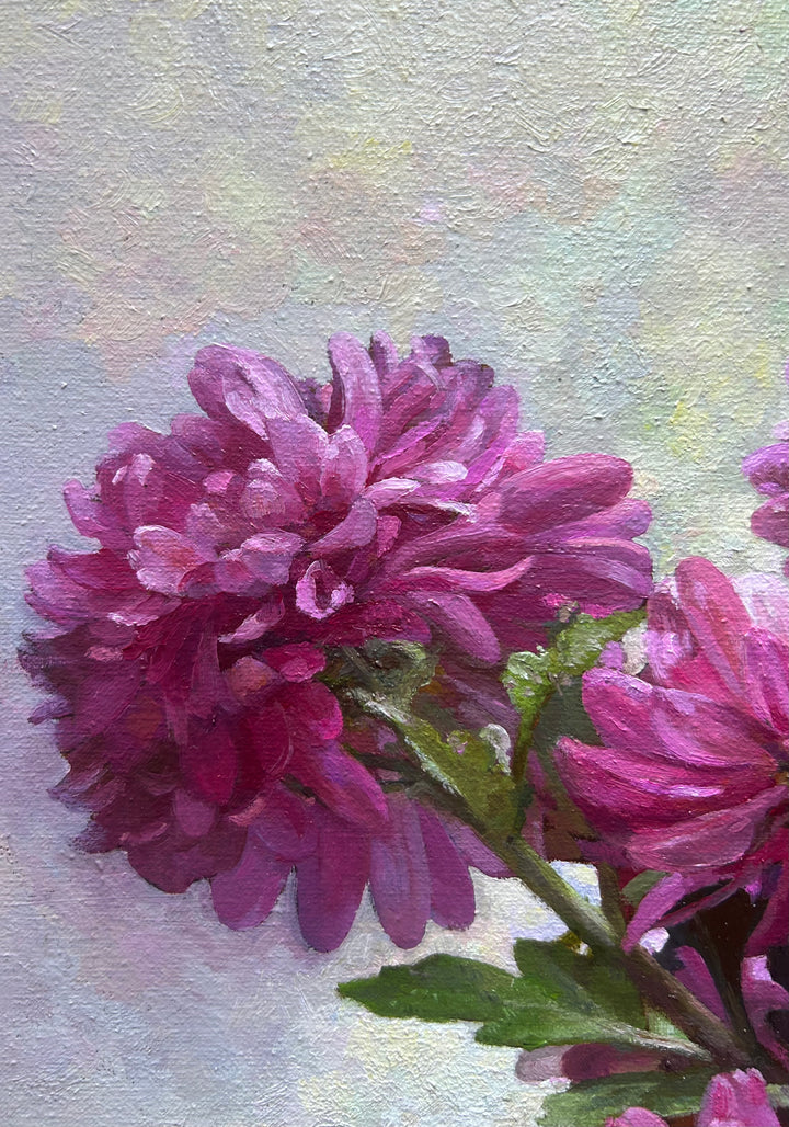 Magenta Beauties