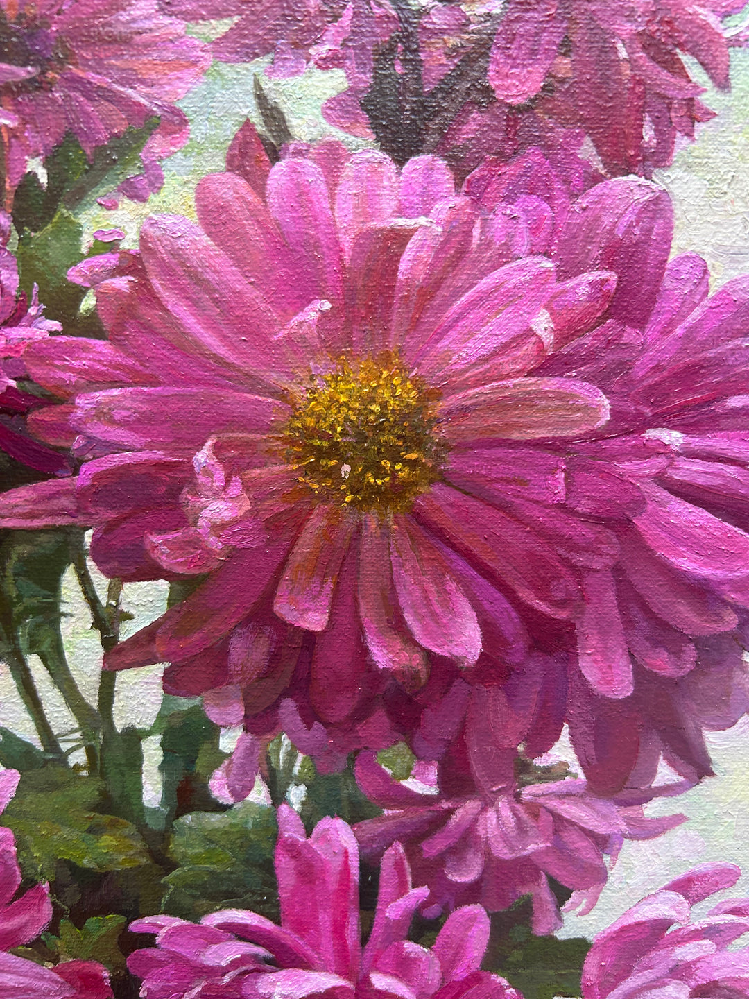 Magenta Beauties