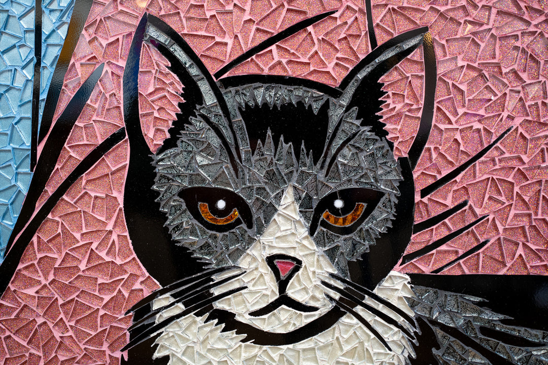 Pink Pussy Princess