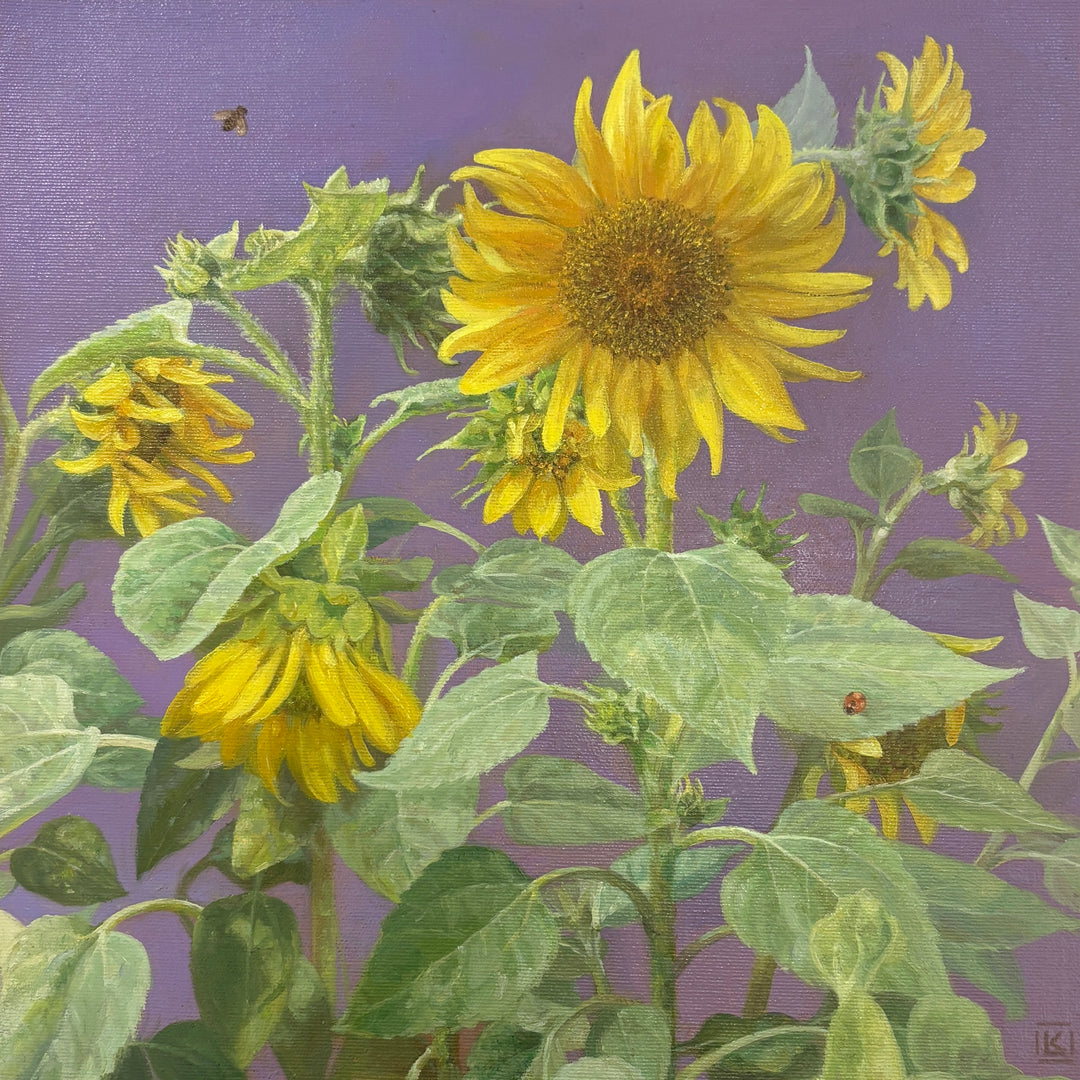 Photorealistic 14"x14" oil painting of sunflowers with a bee and lady bug, and a light purple background by Katie Lokotska